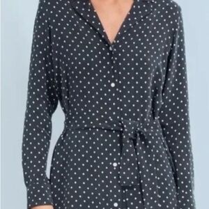 Everlane Polka Dot Shirt Dress 4